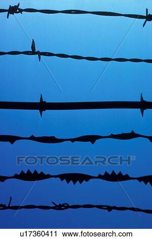 barbed wire on a blue background View Large Photo Image Stock Image - barbed wire on a blue background. Fotosearch