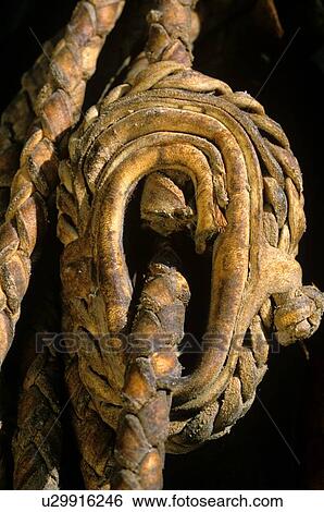 close up of a rope wrapped in place View Large Photo Image Stock Photograph - close up of a rope wrapped in place. Fotosearch