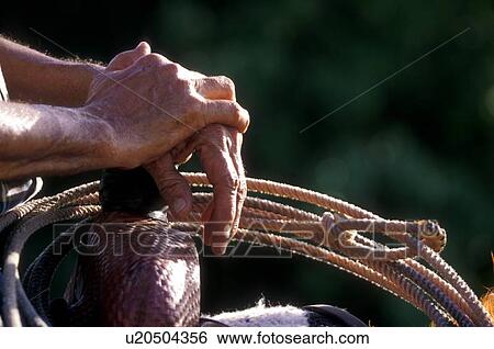 Stock Photograph - close up of hands resting on a saddle. Fotosearch