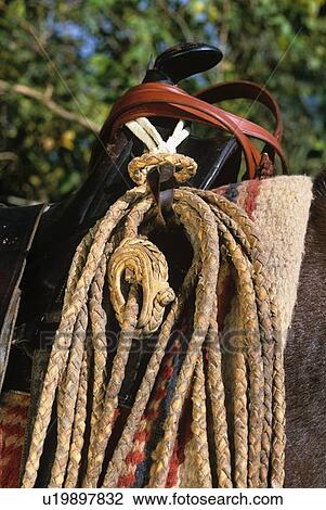close up of rope hanging on a saddle View Large Photo Image Stock Image - close up of rope hanging on a saddle. Fotosearch