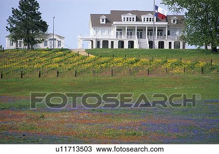country house surrounded by native flowers View Large Photo Image Stock Image - country house surrounded by native flowers. Fotosearch