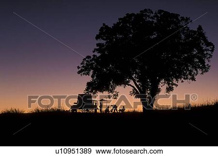 Stock Photo - Covered wagon under a texan twilight sky. Fotosearch