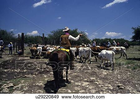 Stock Photo - Cowboy brushes up his skill with the rope. Fotosearch