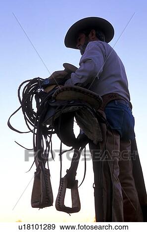 Cowboy gets ready to saddle up View Large Photo Image Stock Photo - Cowboy gets ready to saddle up. Fotosearch