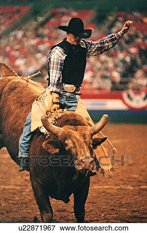 Stock Photo - cowboy riding a bull in a rodeo competition. Fotosearch