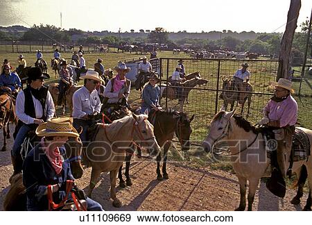 Stock Photo - Getting ready for a horse back ride. Fotosearch