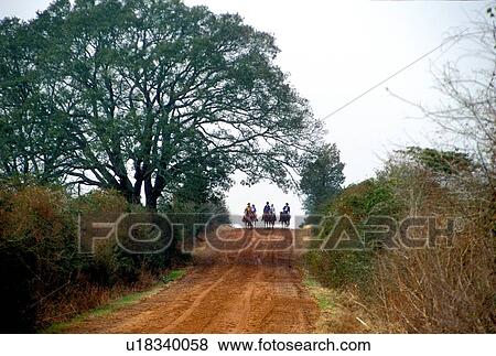 Group on horse back meander down the hill View Large Photo Image Stock Photo - Group on horse back meander down the hill. Fotosearch
