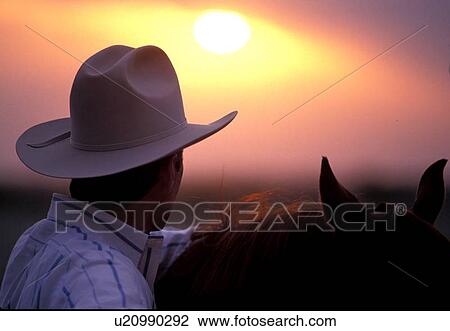 man beside a horse looking out onto the sunset View Large Photo Image Stock Image - man beside a horse looking out onto the sunset. Fotosearch