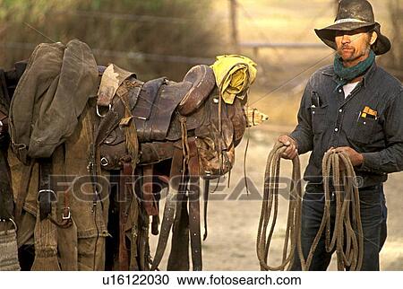 man in a cowboy hat prepaing ropes and saddles View Large Photo Image Stock Image - man in a cowboy hat prepaing ropes and saddles. Fotosearch