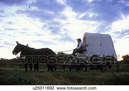 Stock Image - man in a western wagon pulled by two mules. Fotosearch