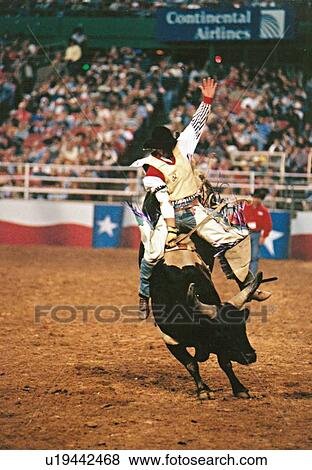 man riding a bull in a rodeo competition View Large Photo Image Stock Photo - man riding a bull in a rodeo competition. Fotosearch