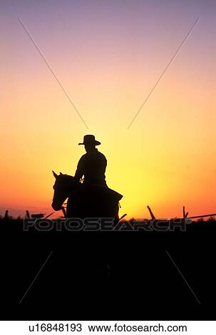 man riding a horse at sunset View Large Photo Image Stock Image - man riding a horse at sunset. Fotosearch
