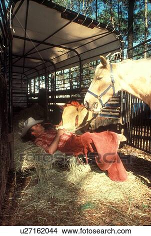 man taking a nap in a bed of horse's hay View Large Photo Image Picture - man taking a nap in a bed of horse's hay. Fotosearch
