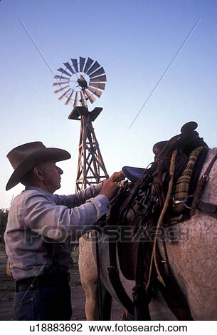 Stock Image - older man putting a saddle on his horse. Fotosearch