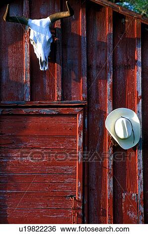 Stock Photograph - red barn with a hanging skull and hat. Fotosearch