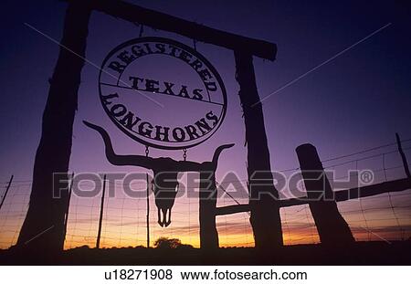 Stock Photo - registered Texas longhorns sign. Fotosearch