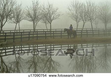 riding a horse along a pond in the fog View Large Photo Image Picture - riding a horse along a pond in the fog. Fotosearch