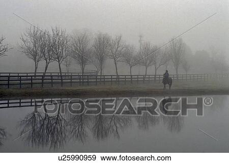 riding a horse along a pond in the fog View Large Photo Image Stock Photo - riding a horse along a pond in the fog. Fotosearch