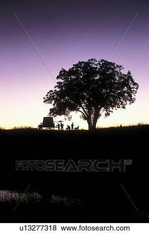 silhouette of people under a tree at an old western campsite View Large Photo Image Stock Photo - silhouette of people under a tree at an old western campsite. Fotosearch