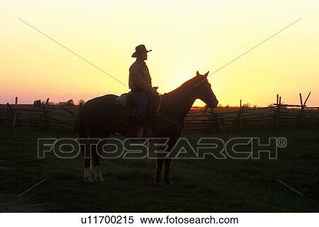 sunset silhouette of a cowboy on a horse View Large Photo Image Stock Photography - sunset silhouette of a cowboy on a horse. Fotosearch