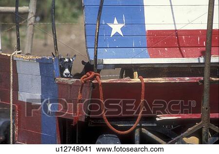 Stock Image - Texas flags painted onto a wagon. Fotosearch