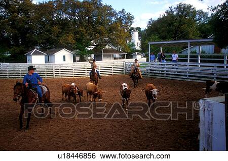 three men herding catlle on a ranch View Large Photo Image Stock Photograph - three men herding catlle on a ranch. Fotosearch
