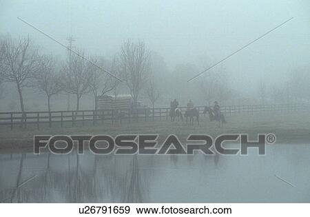three people on horseback riding in the fog View Large Photo Image Stock Photo - three people on horseback riding in the fog. Fotosearch