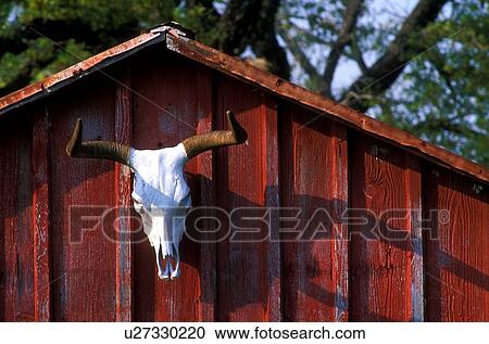 Stock Image - top of a red building with a longhorn skull. Fotosearch