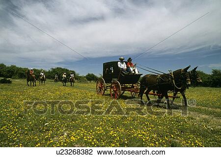 Stock Image - Wagon Ride through feilds of wildflowers. Fotosearch