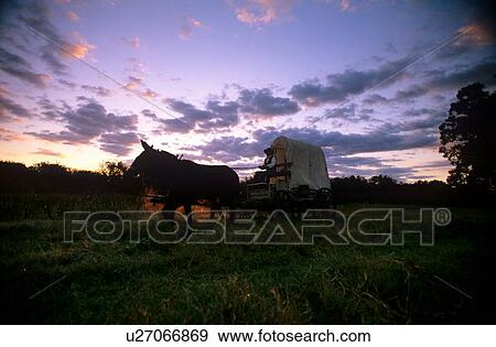 Stock Photo - western wagon being pulled through a field. Fotosearch