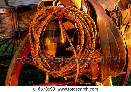 woven rope wound on a saddle View Large Photo Image Stock Image - woven rope wound on a saddle. Fotosearch