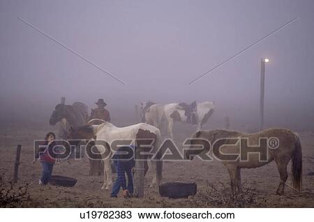 Stock Image - Young boy and man on ranch. Fotosearch