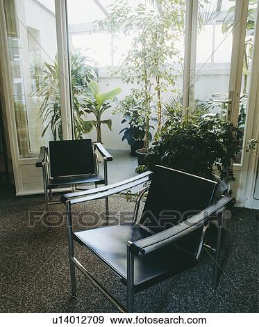 黒い革 そして クロム 椅子 の前 ガラスドア へ 小さい 温室 写真館 イメージ館 U Fotosearch