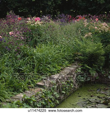 Angular pond in summer garden View Large Photo Image Stock Photography - Angular pond in summer garden. Fotosearch