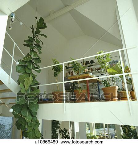 architectural, interior, landings, stairs, interiors, houseplants, hr 533 View Large Photo Image Stock Photo - architectural, interior, landings, stairs, interiors, houseplants, hr 533. Fotosearch