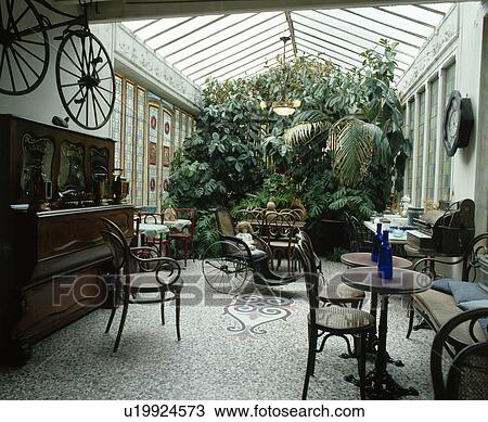 Bentwood Thonet chairs in conservatory dining room extension with houseplants and mosaic floor View Large Photo Image Stock Image - Bentwood Thonet chairs in conservatory dining room extension with houseplants and mosaic floor. Fotosearch