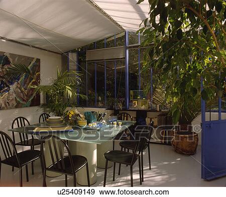 Stock Photo - Black metal chairs and glass table in conservatory dining room with large houseplants and white ceiling blinds. Fotosearch