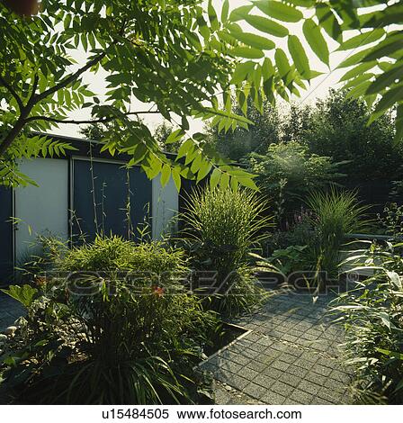 Blockpaved courtyard with grasses under the shade of a tree. View Large Photo Image Stock Photography - Blockpaved courtyard with grasses under the shade of a tree.. Fotosearch