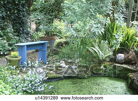 Stock Photo - Blue bench beside small pond covered with pondweed. Fotosearch