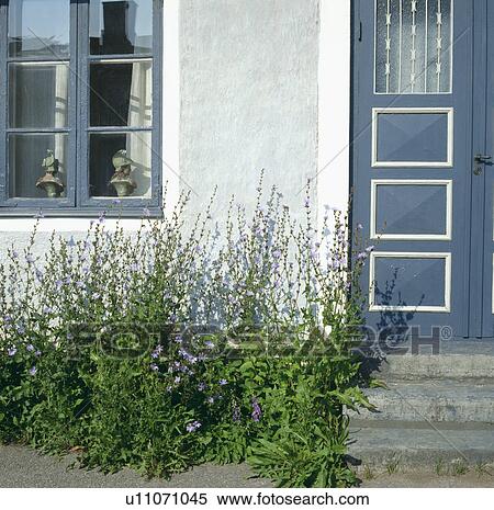 Stock Photography - Blue door on traditional Scandinavian house. Fotosearch