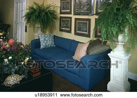 Stock Image - Blue sofa in traditional living room with Boston ferns on pedestals. Fotosearch