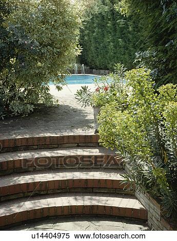 Border beside stone steps to swimmingpool View Large Photo Image Stock Photography - Border beside stone steps to swimmingpool. Fotosearch