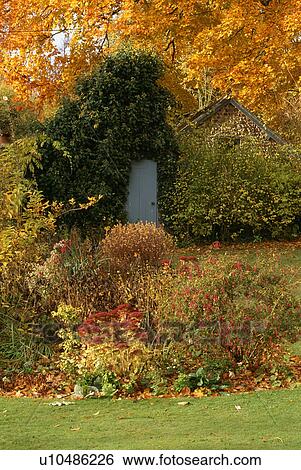 Borders in country garden in autumn View Large Photo Image Stock Photograph - Borders in country garden in autumn. Fotosearch