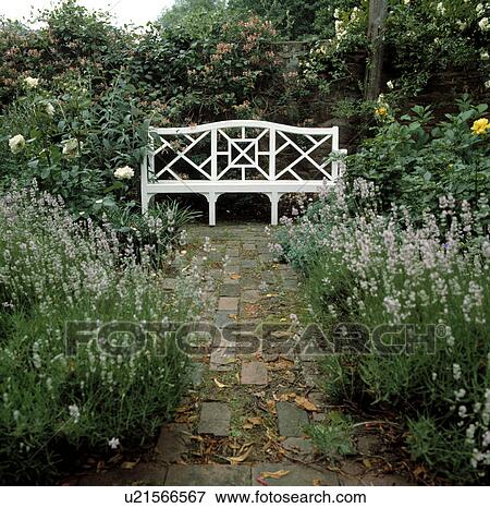Stock Photo - Brick path between lavender in walled summer country garden with white bench. Fotosearch