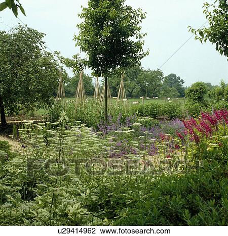 Cane wigwams in large country garden in summer View Large Photo Image Stock Image - Cane wigwams in large country garden in summer. Fotosearch