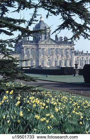 Castle Howard in Yorkshire with daffodils in the foreground View Large Photo Image Stock Image - Castle Howard in Yorkshire with daffodils in the foreground. Fotosearch