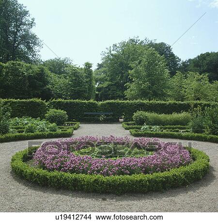 Picture - Circular bed with clipped low box hedge enclosing pink chives in formal garden with gravel path. Fotosearch