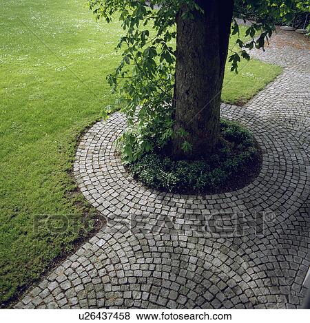 Circular paving in summer garden View Large Photo Image Stock Photo - Circular paving in summer garden. Fotosearch
