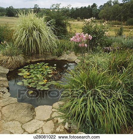 Circular pond in country garden View Large Photo Image Stock Image - Circular pond in country garden. Fotosearch