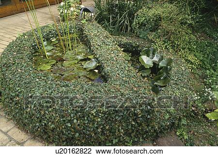 Circular pond within low clipped hedge in country garden View Large Photo Image Stock Image - Circular pond within low clipped hedge in country garden. Fotosearch